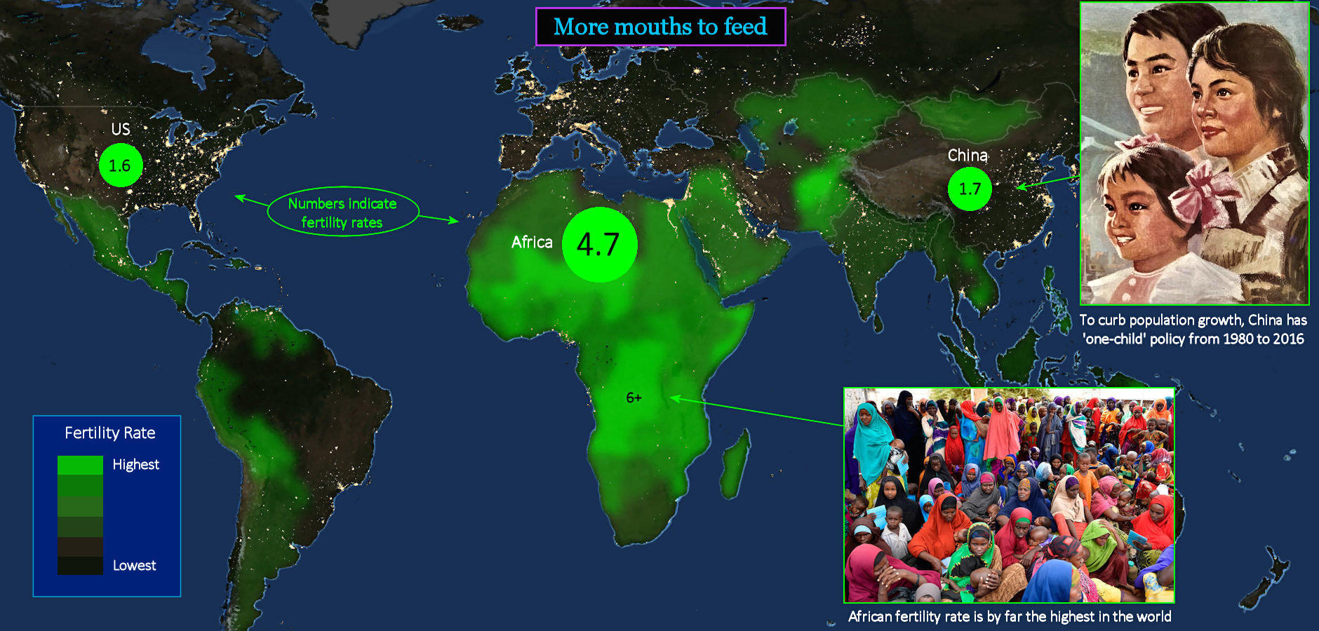 Food, global birth rates, 2020 map